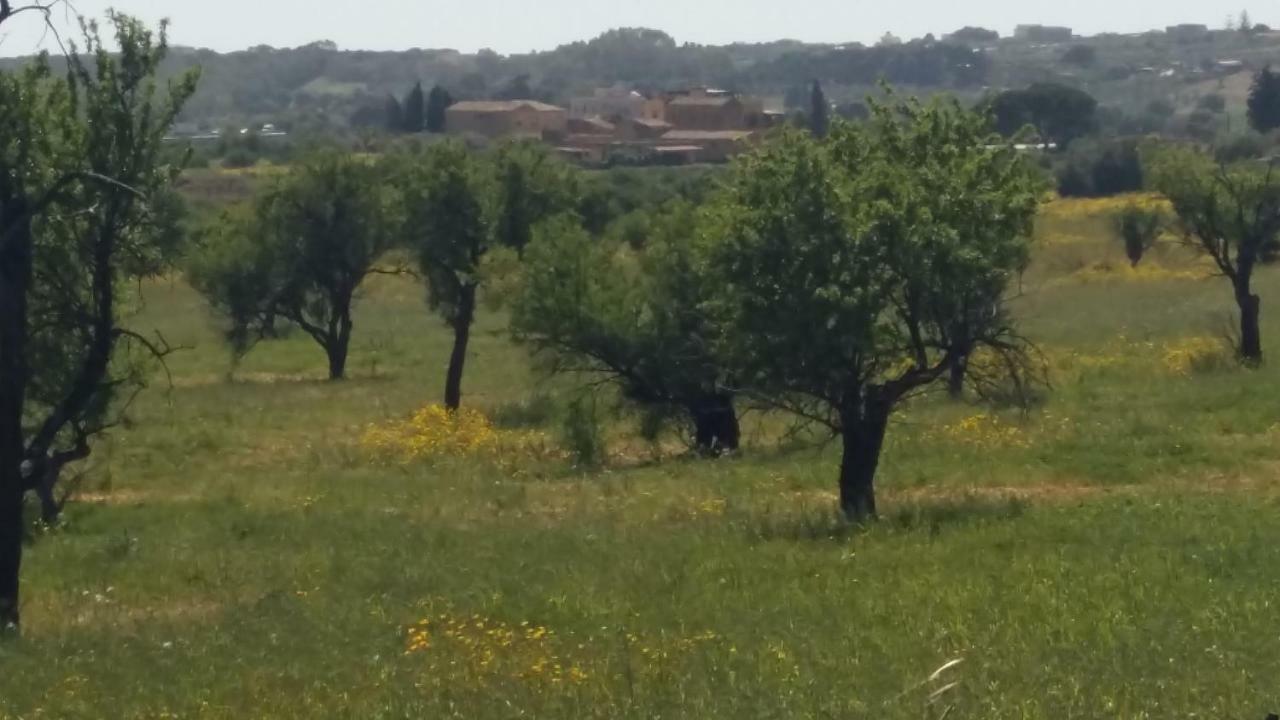 Bed and Breakfast Vento di Tramontana Agrigento Esterno foto